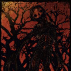 蒂蒂有话说普通话版免费听
