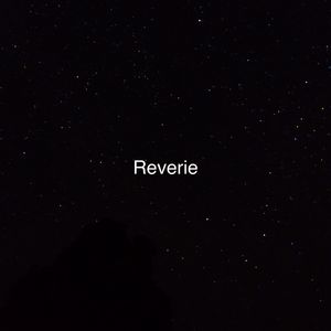 蒂蒂有话说普通话版免费听
